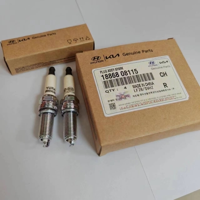 ELH Motor Ignition Spark Plug per Hyundai Kia 1887411080 18874-11080 Servizio OEM